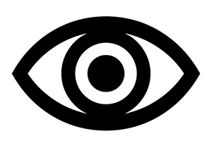 Begleitetes Schauen