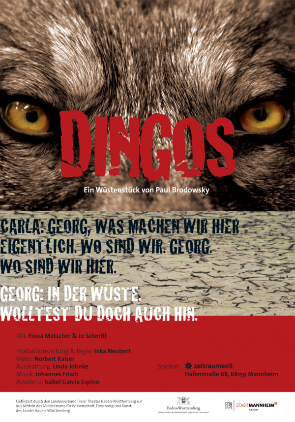 Dingos