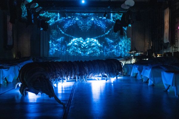 Nachtstück No. 3 Foto eines abgedunkelten Raumes mit indirektem, blauen Licht. An den Seiten stehen Betten, an der Rückwand ist ein abstraktes Bild eines Insektenkopfes in blau an einen Vorhang projiziert. Zwischen den Betten läuft ein überdimensionaler Tausendfüßler herum