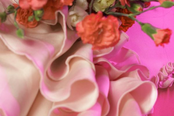 Foto von roten Blumen und rosa Stoff.