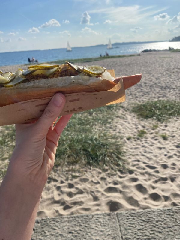 Trip Builder Hand hält einen Hotdog ins Bild. Im Hintergrund ist ein Strand mit Meer. Die Sonne scheint.